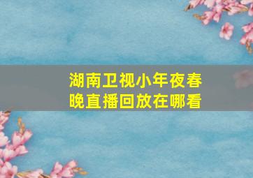 湖南卫视小年夜春晚直播回放在哪看