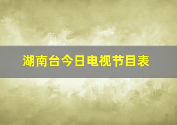 湖南台今日电视节目表