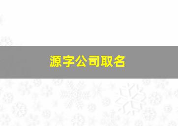 源字公司取名