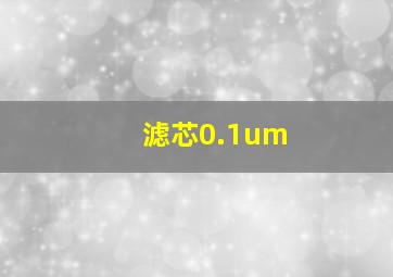 滤芯0.1um