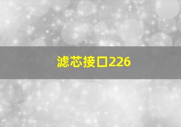 滤芯接口226