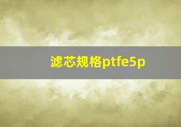 滤芯规格ptfe5p