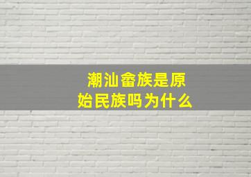 潮汕畲族是原始民族吗为什么