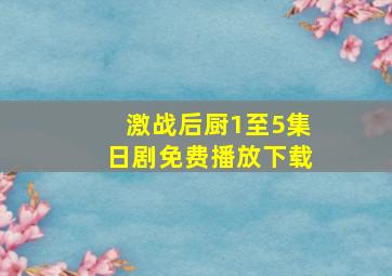 激战后厨1至5集日剧免费播放下载