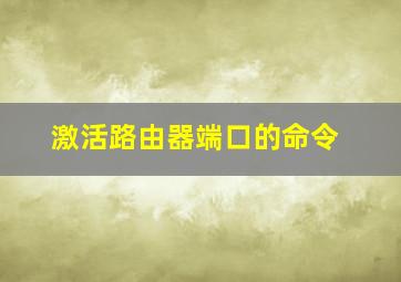 激活路由器端口的命令