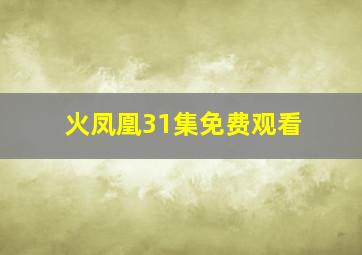 火凤凰31集免费观看