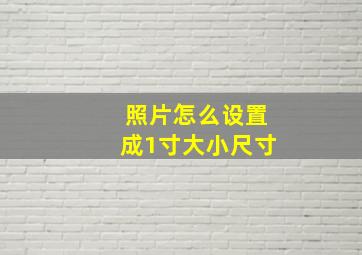 照片怎么设置成1寸大小尺寸