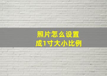 照片怎么设置成1寸大小比例