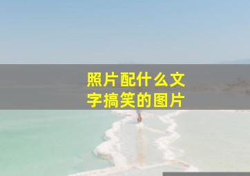 照片配什么文字搞笑的图片