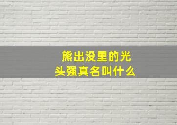 熊出没里的光头强真名叫什么