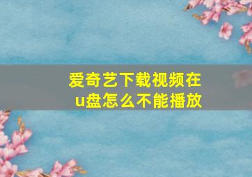 爱奇艺下载视频在u盘怎么不能播放