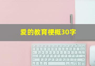 爱的教育梗概30字