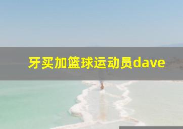 牙买加篮球运动员dave