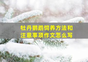 牡丹鹦鹉饲养方法和注意事项作文怎么写