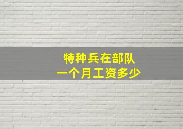 特种兵在部队一个月工资多少