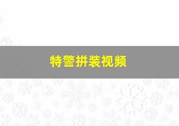 特警拼装视频