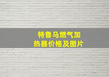 特鲁马燃气加热器价格及图片