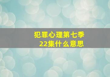 犯罪心理第七季22集什么意思