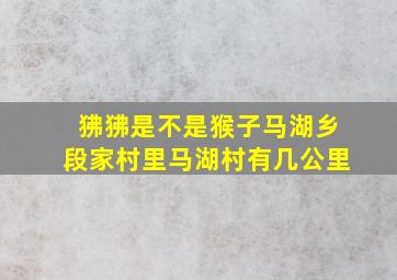 狒狒是不是猴子马湖乡段家村里马湖村有几公里