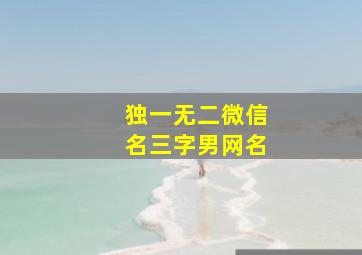 独一无二微信名三字男网名