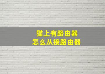 猫上有路由器怎么从接路由器