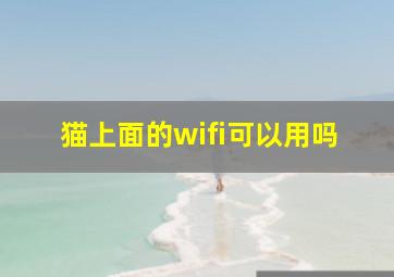 猫上面的wifi可以用吗