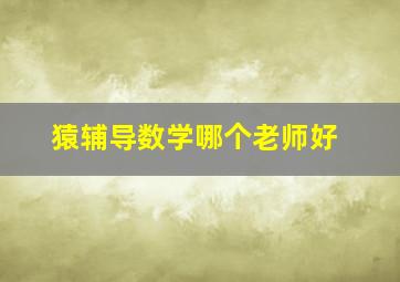 猿辅导数学哪个老师好