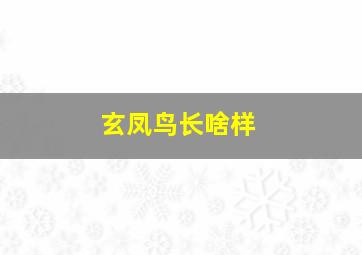 玄凤鸟长啥样