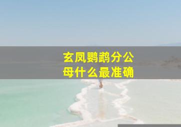 玄凤鹦鹉分公母什么最准确