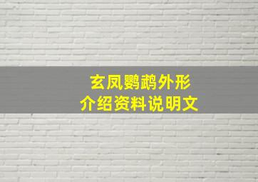 玄凤鹦鹉外形介绍资料说明文