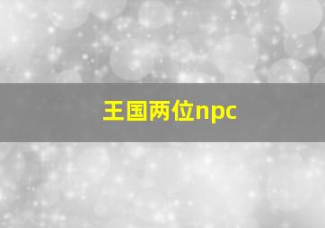 王国两位npc