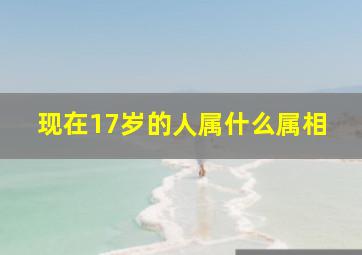 现在17岁的人属什么属相