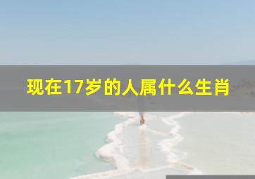 现在17岁的人属什么生肖