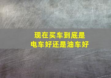 现在买车到底是电车好还是油车好