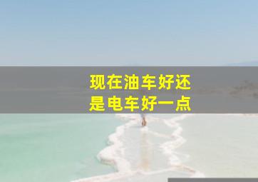 现在油车好还是电车好一点