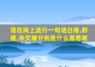 现在网上流行一句话白猪,野猪,杂交猪分别是什么意思呢