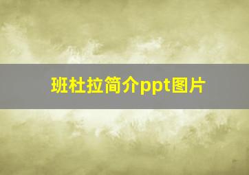 班杜拉简介ppt图片