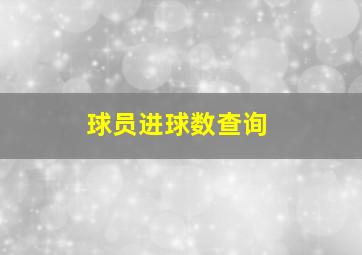 球员进球数查询