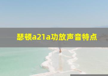 瑟顿a21a功放声音特点