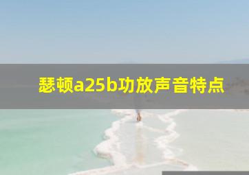 瑟顿a25b功放声音特点