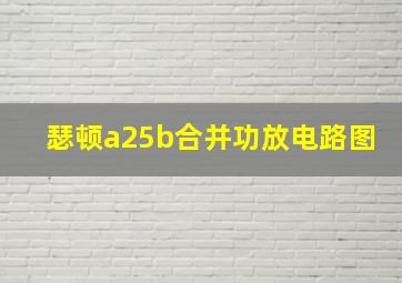 瑟顿a25b合并功放电路图