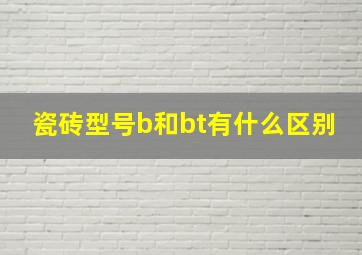 瓷砖型号b和bt有什么区别