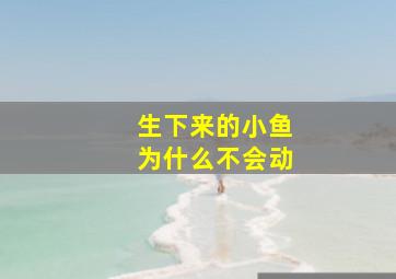 生下来的小鱼为什么不会动