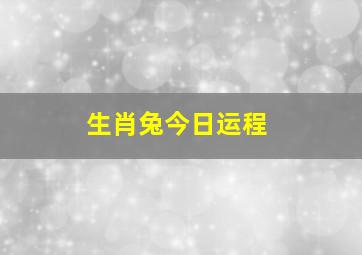 生肖兔今日运程