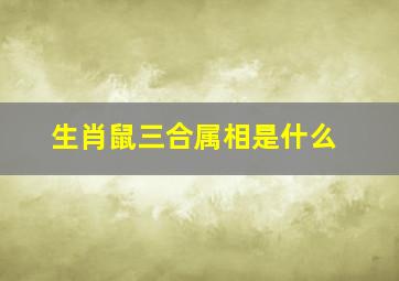 生肖鼠三合属相是什么