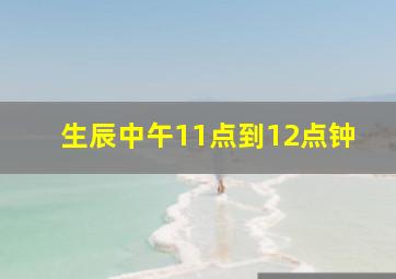 生辰中午11点到12点钟