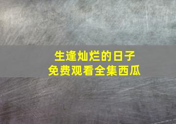 生逢灿烂的日子免费观看全集西瓜