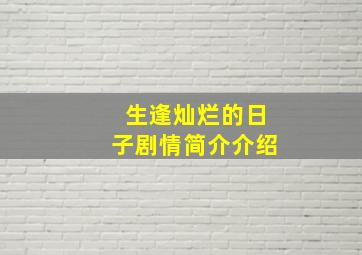 生逢灿烂的日子剧情简介介绍