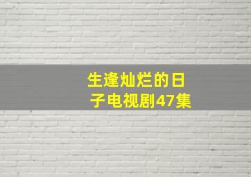 生逢灿烂的日子电视剧47集