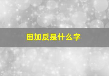 田加反是什么字